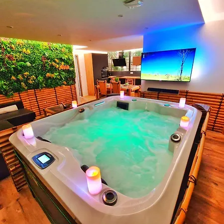 Bali Spa-4 Pers-jacuzzi-parking-jardin-clim-colmar *