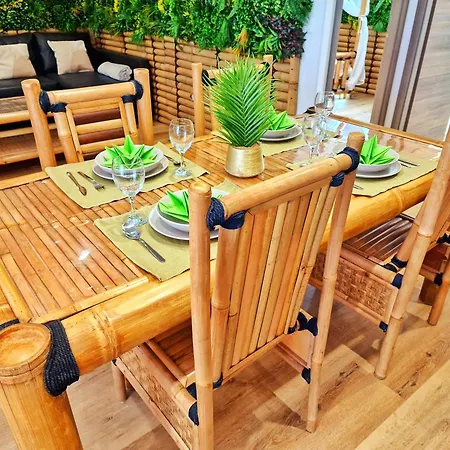 Apartament Bali Spa-4 Pers-jacuzzi-parking-jardin-clim-colmar