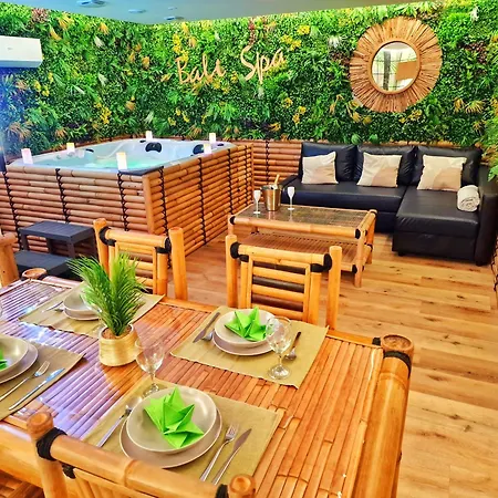 Apartment Bali Spa-4 Pers-jacuzzi-parking-jardin-clim-colmar *