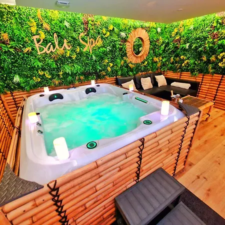 Bali Spa-4 Pers-jacuzzi-parking-jardin-clim-colmar Apartament *