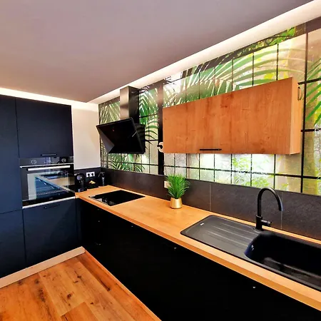 Bali Spa-4 Pers-jacuzzi-parking-jardin-clim-colmar Apartmán