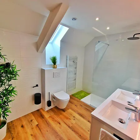 Bali Spa-4 Pers-jacuzzi-parking-jardin-clim-colmar *