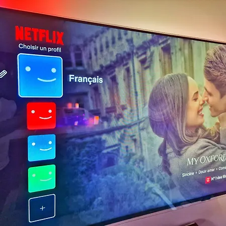 Apartament Bali Spa-4 Pers-jacuzzi-parking-jardin-clim-colmar