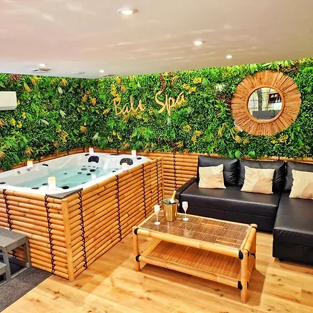 Apartament Bali Spa-4 Pers-jacuzzi-parking-jardin-clim-colmar *